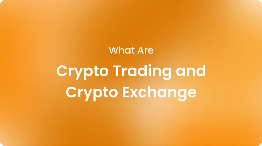What Are Crypto Trading and Crypto Exchange
