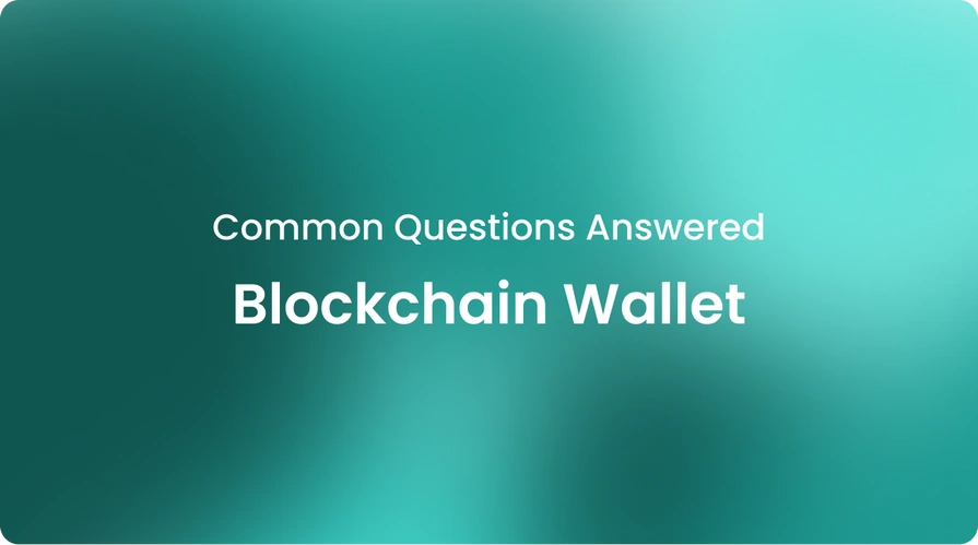 Blockchain Wallet Common Questions