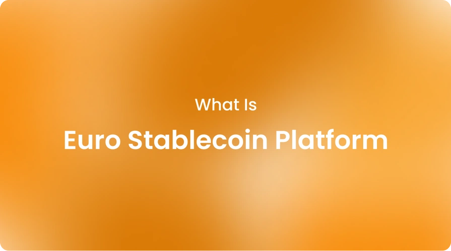 What Is Euro Stablecoin Platform