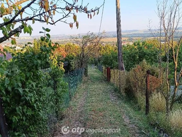 Pécs alulról, felülről, belülről, de a legjobb, ha kívülről