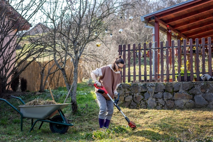 Minden, amit a márciusi kertrendezésről tudni kell: szerszámok, gyümölcsfák, az első ültetések