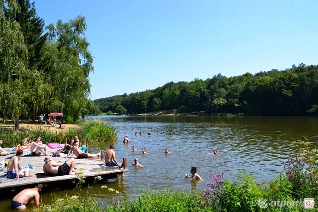 Ha unod a Balatont, irány az erdőben megbújó tavacska