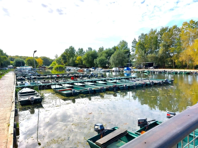 A Tisza-tó, a feltörekvő sztár - és mit mondana a pénzügyi tanácsadó?