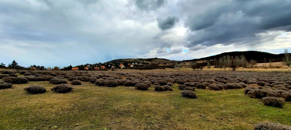 Építkeznél? Vásárolj üres telket, amelyen felépítheted álmaid otthonát!