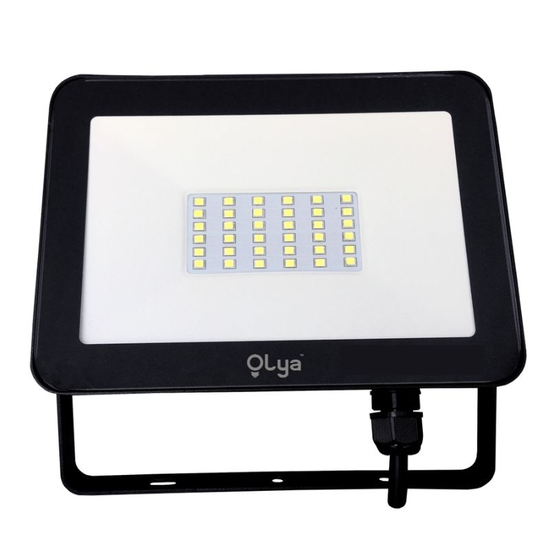 PROJECTEUR LED OLYA 30W 6500K