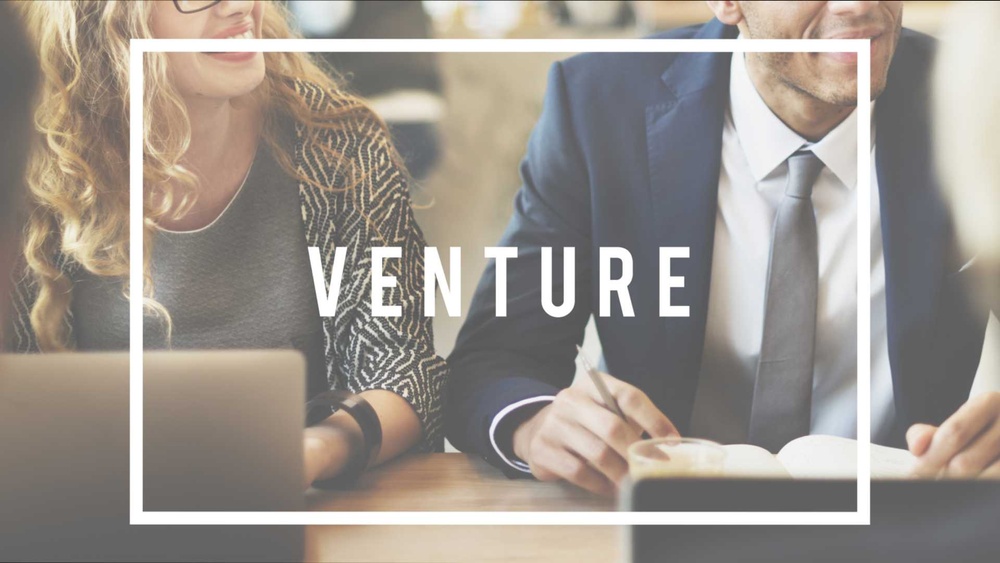 How Venture Capital Works