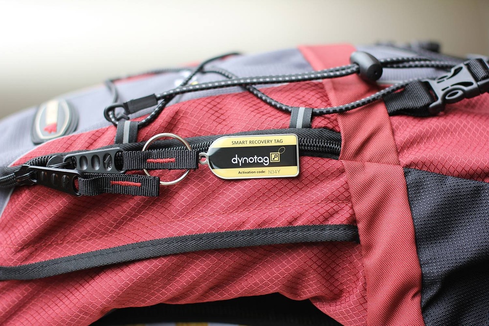 Dynotag: Send Lost Luggage the Way of the Dinosaur