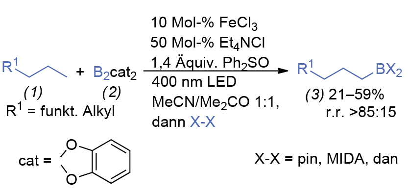Kohlenwasserstoffe selektiv am Kettenende borylieren | GDCh.app
