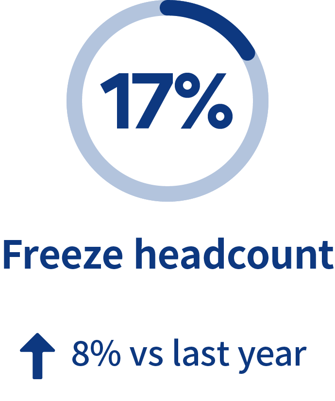 Hiring, Compensation & Benefits Report 2025 SEEK Employer