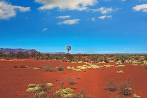 A Complete Guide to Probate and Letters of Administration in WA