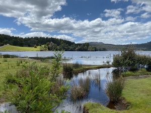 A Complete Guide to Probate and Letters of Administration in TAS