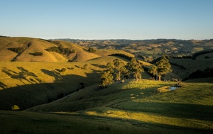 A Complete Guide to Probate and Letters of Administration in VIC
