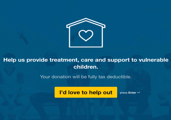 Nice Online Donation Form