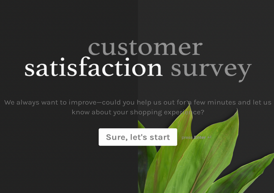 Customer Satisfaction Questionnaire (Free version)