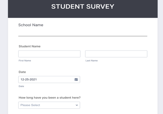 Feedback Form for Students