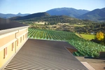 Roof view of Bella Fiore Winery building and Vineyard. Building has metal corrugated roof and looks out on a beautiful day 