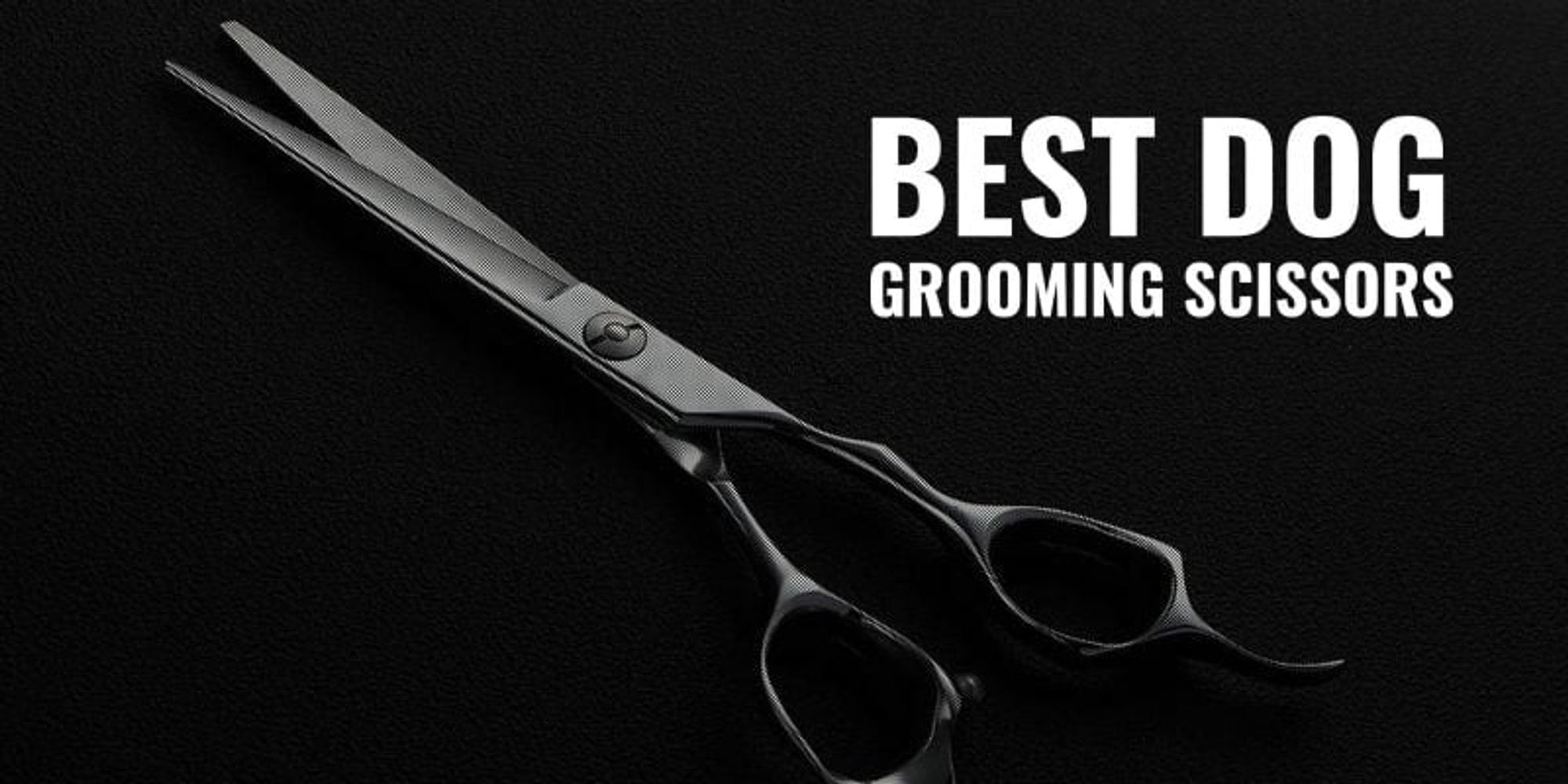 Best on sale grooming scissors