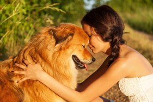 Signs Your Dog Really Loves You