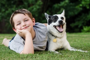 Ten important tips that all primary school-aged children should know about dogs