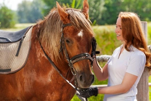 How to help your Horse deal with flies and sunburn this Summer