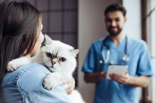 Why don’t more cat owners invest in preventative healthcare?
