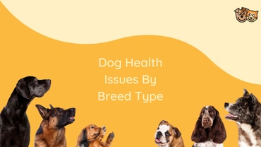 Dog health issues by breed type