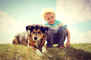 Research shows that children are more likely than adults to be bitten by dogs