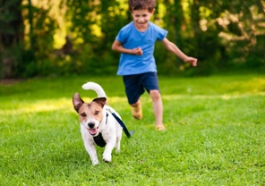 Important things to consider when it comes to your kids, your dog, and the school holidays