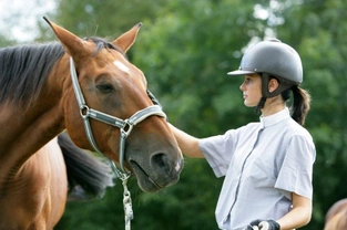 How Horses Get Their Own Back by Teaching Owners a Lesson