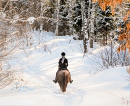 Vlastní kůň, díl 32: Jak jezdit v zimě