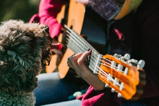 Do animals like music? It depends on the species!