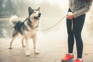 The benefits of jogging with your dog