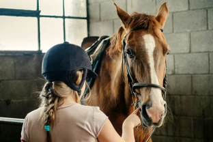 Tips on How to Save Money When Competing with Your Horse