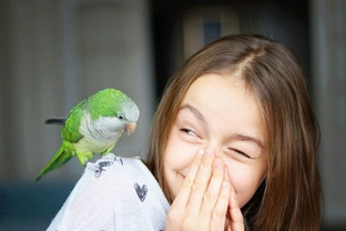 Tajemný svět papoušků: Chovat papoušky není pro každého