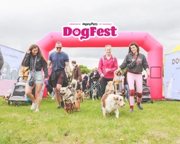 Pets4Homes x DogFest 24th – 25th September 2022