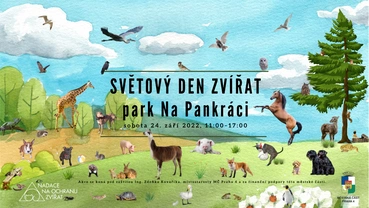 Chcete oslavit Světový den zvířat 2022? Vyražte v sobotu do Prahy na Pankrác