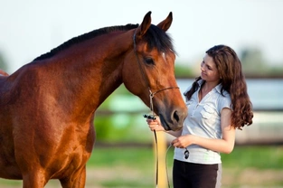 The Importance of Correcting Bad Behaviour in Horses and Ponies