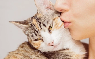 Six top tips for people who are allergic to cats