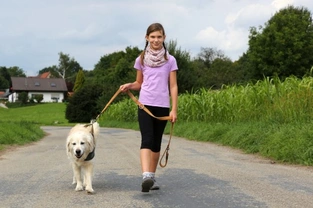 Training your dog to walk to heel