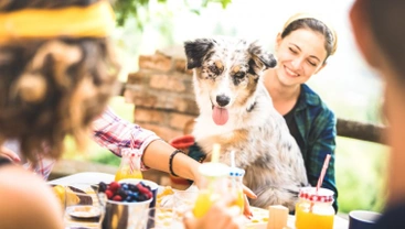 How to have a dog-safe picnic