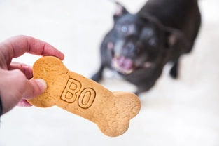 4 Great Home-made Tasty Doggy Treats