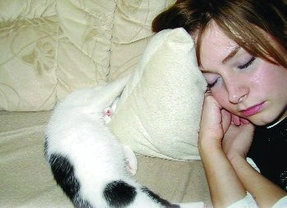 Felinoterapie, aneb „léčba kočkou“
