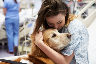 What does it take to turn your dog into a therapy dog?