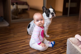 Essential safety advice when you have a dog and a baby