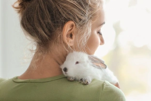 How are the UK’s pet rabbits usually kept, and how well does this meet their needs?