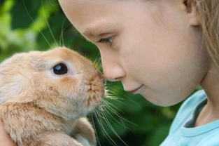 Children & Rabbits