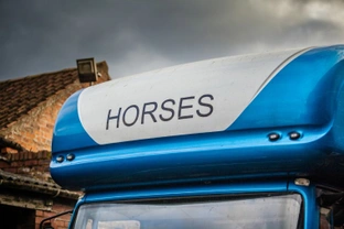 What is the best way to travel your horse?