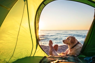 Tips for camping or hiking with your dog