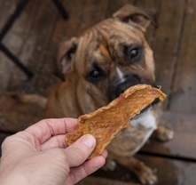 Sušené maso pro psy jako oblíbený pamlsek i cestovní krmivo