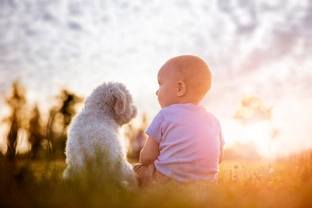 Coping safely with babies, toddlers, kids and dogs